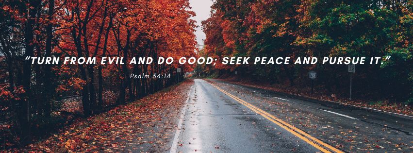 Weekly Market Insight: Trade Concerns Halt Stock Rally